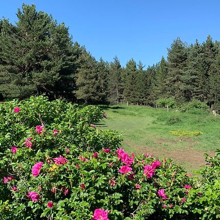 Gite Ranch Le Serpolet Les Angles  Exterior photo