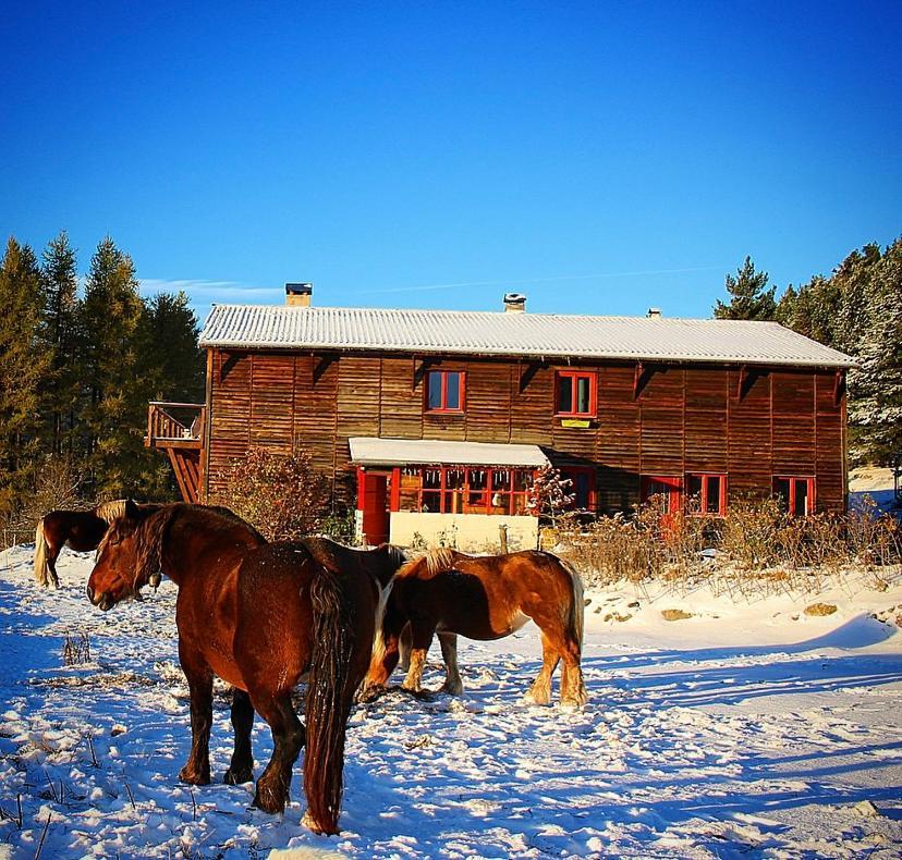 Gite Ranch Le Serpolet Les Angles  Exterior photo