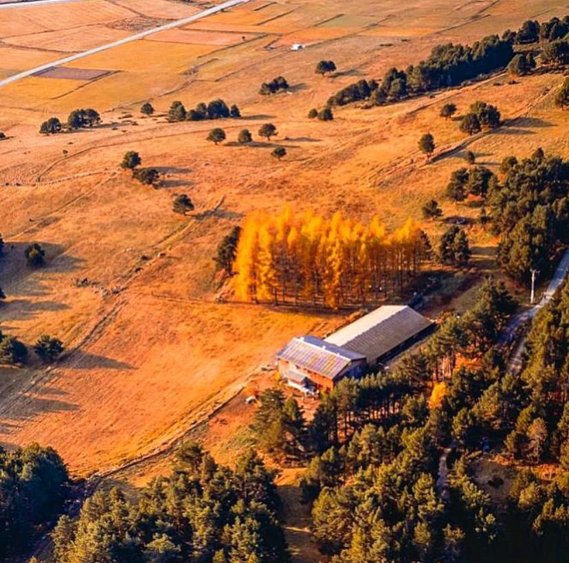 Gite Ranch Le Serpolet Les Angles  Exterior photo