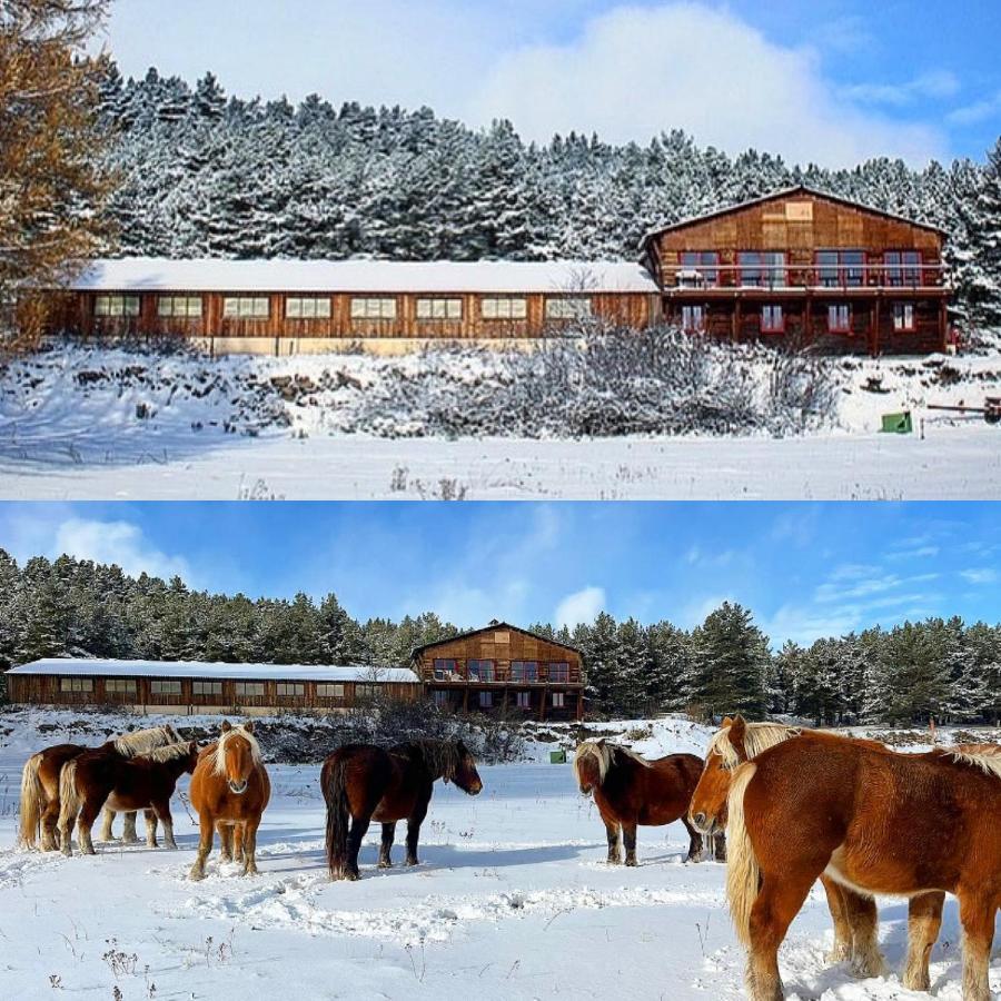 Gite Ranch Le Serpolet Les Angles  Exterior photo