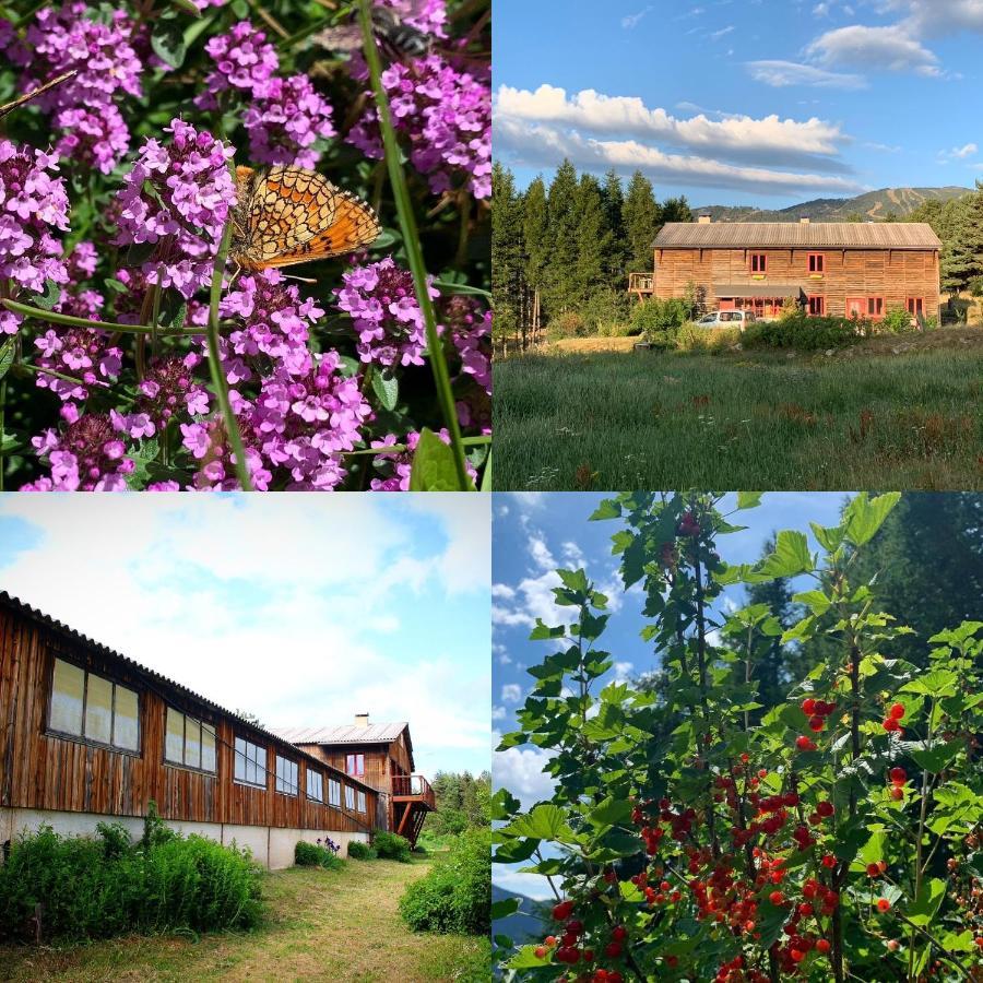 Gite Ranch Le Serpolet Les Angles  Exterior photo