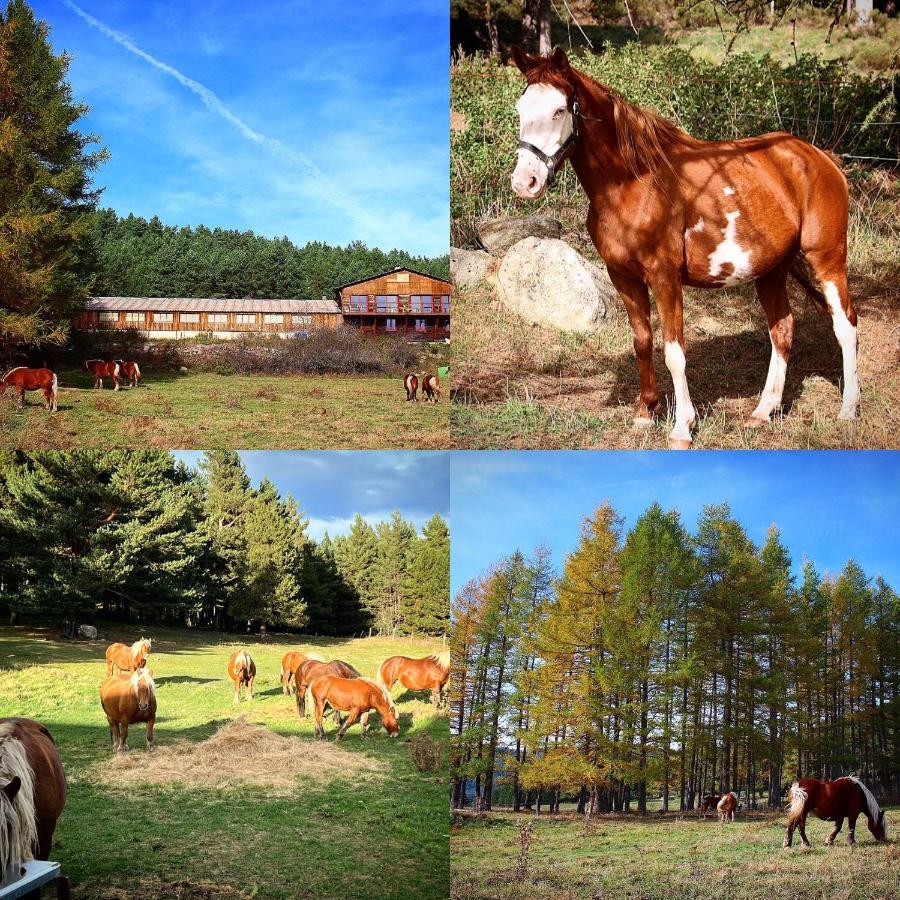 Gite Ranch Le Serpolet Les Angles  Exterior photo