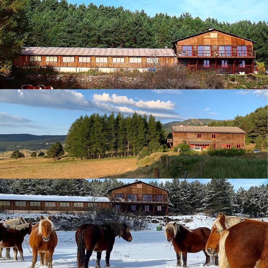 Gite Ranch Le Serpolet Les Angles  Exterior photo