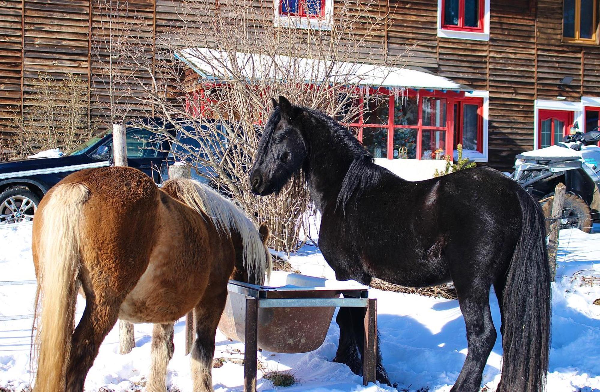 Gite Ranch Le Serpolet Les Angles  Exterior photo
